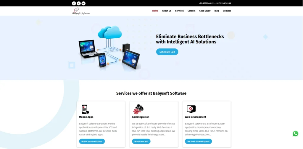MNC Company in Lucknow - Babysoft Software