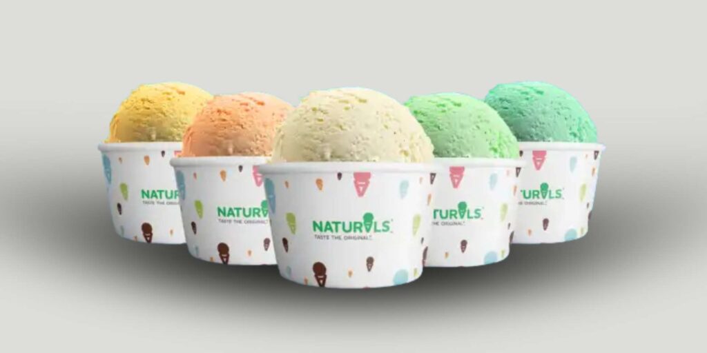 Naturals Ice Cream Franchise Cost