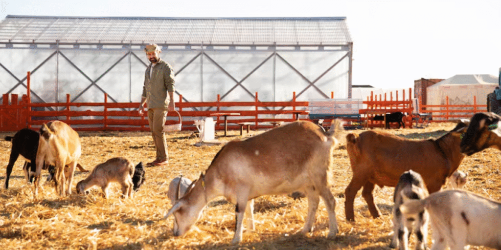 Agriculture Business Ideas