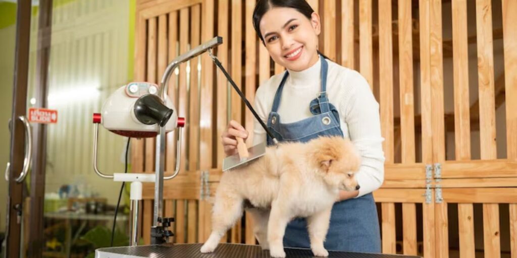 Business-Ideas-in-Bangalore-Pet-Care-Grooming-Services