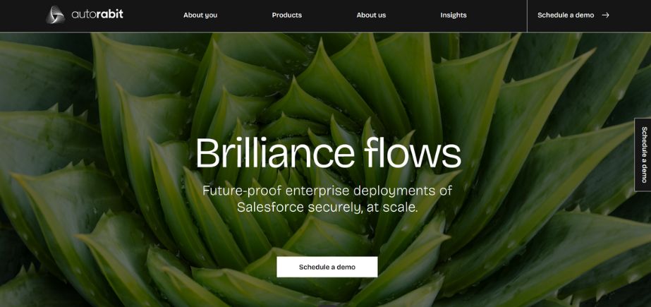 Autorabit - Salesforce Automation Software