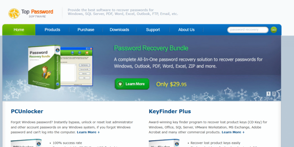 Password Recovery Tools