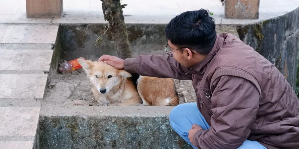 Business Ideas for Teens