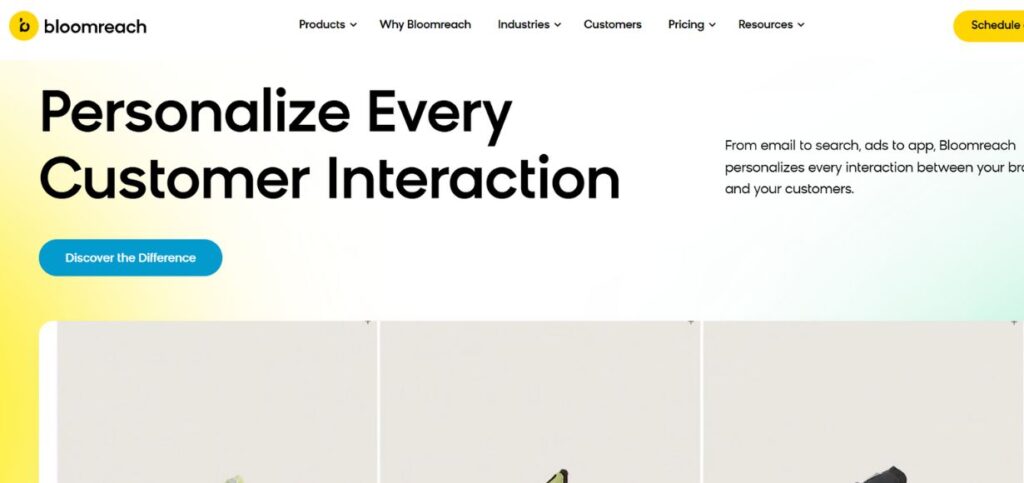 Bloomreach -  Customer Data Platform Software