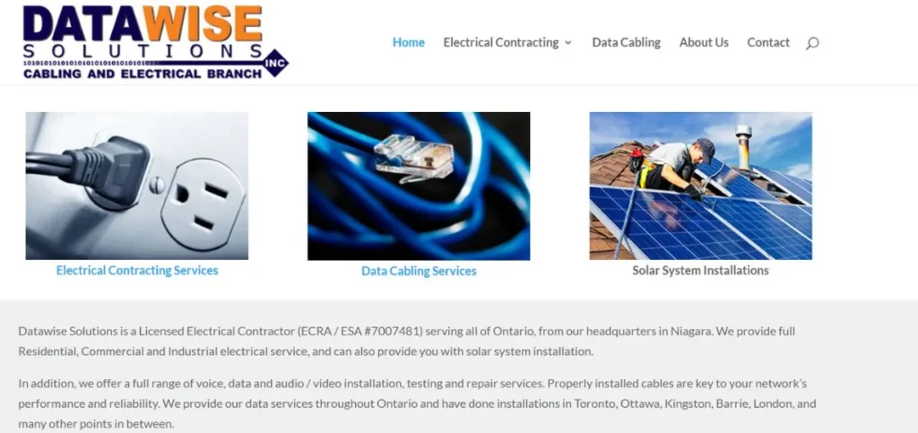 DataWise Solutions - AI Development Companies