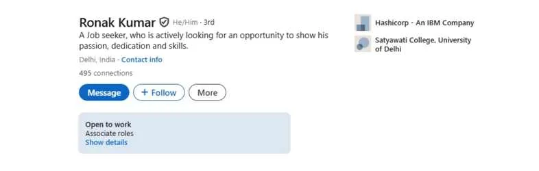 LinkedIn Headline Examples