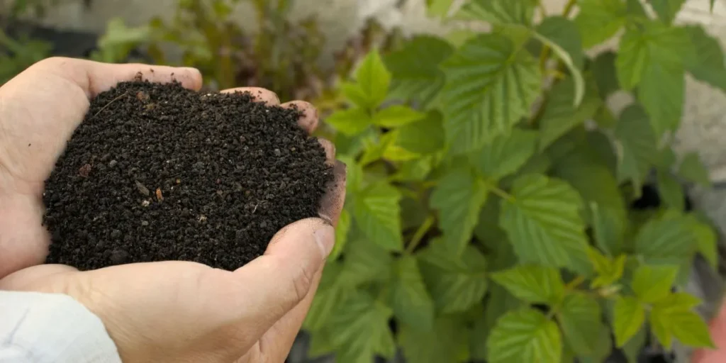 Business Ideas in Odisha