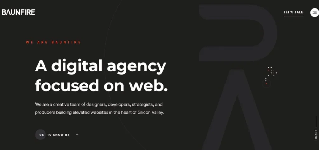 Baunfire - WordPress Development Companies