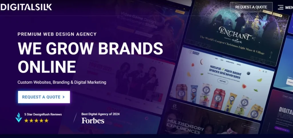 Digital Silk - WordPress Development Companies