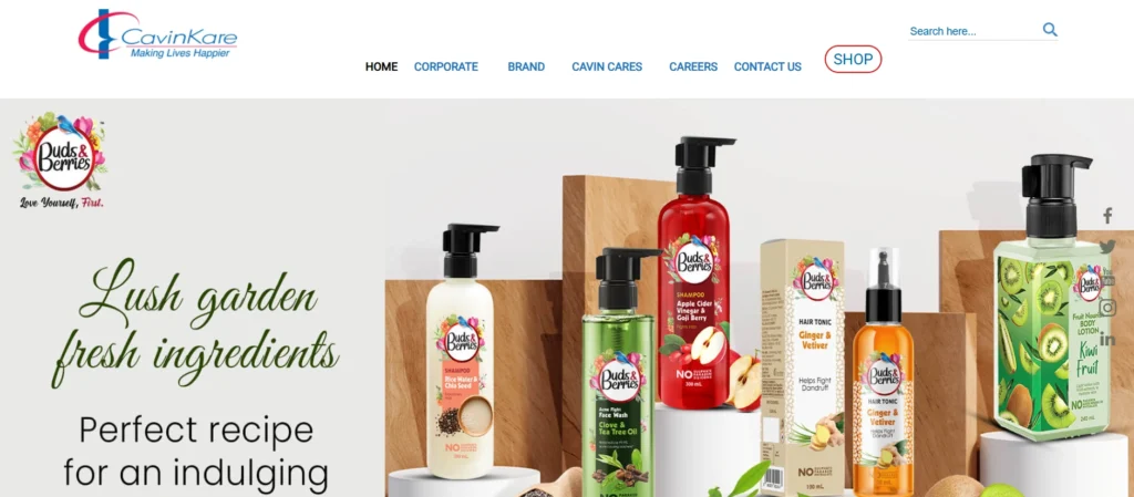 FMCG Companies in India
- CavinKare Private Limited