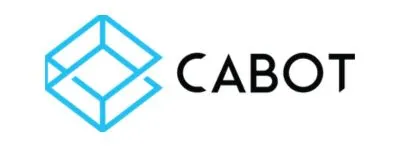 MNC Companies in Kochi - Cabot Solutions